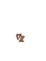Amortisseur / Frein Direction R24...R69S